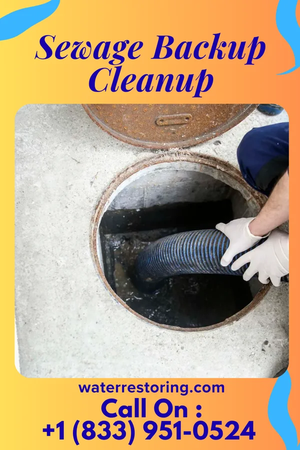 Sewage Backup Cleanup in Konawa, OK